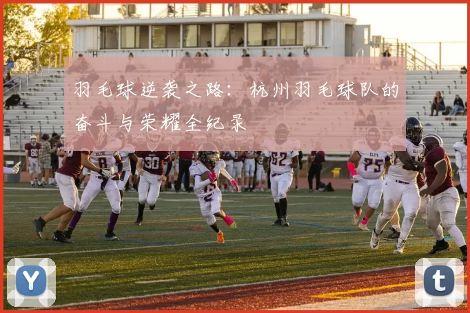 羽毛球逆袭之路：杭州羽毛球队的奋斗与荣耀全纪录