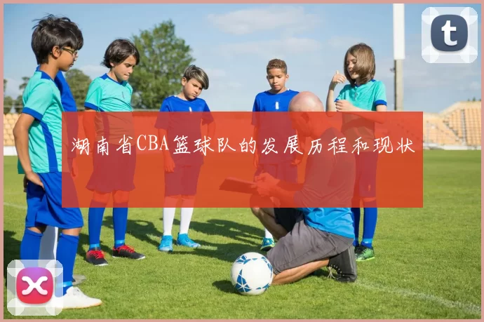 湖南省CBA篮球队的发展历程和现状