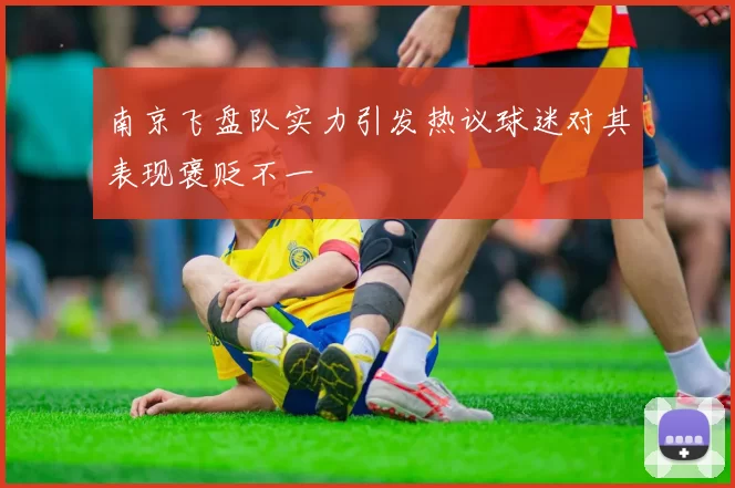 南京飞盘队实力引发热议球迷对其表现褒贬不一