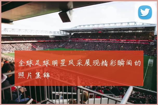 全球足球明星风采展现精彩瞬间的照片集锦