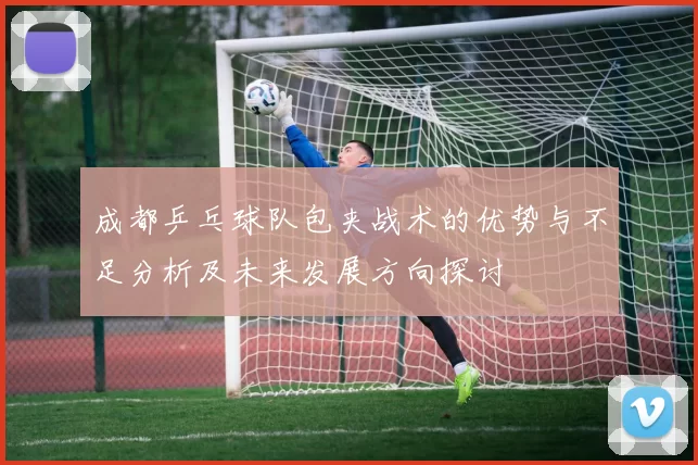 成都乒乓球队包夹战术的优势与不足分析及未来发展方向探讨