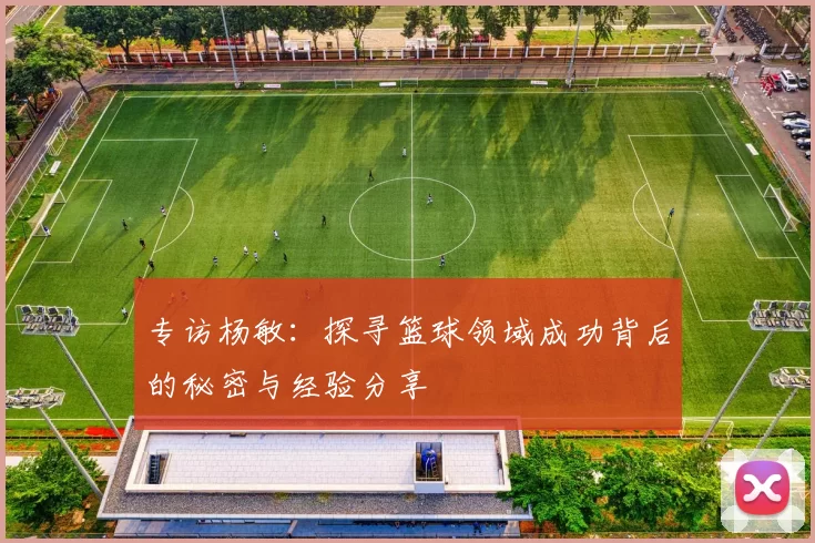 专访杨敏：探寻篮球领域成功背后的秘密与经验分享