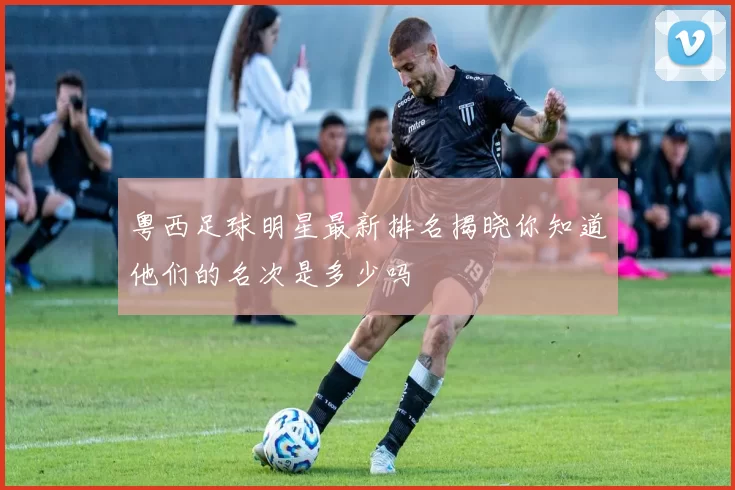粤西足球明星最新排名揭晓你知道他们的名次是多少吗