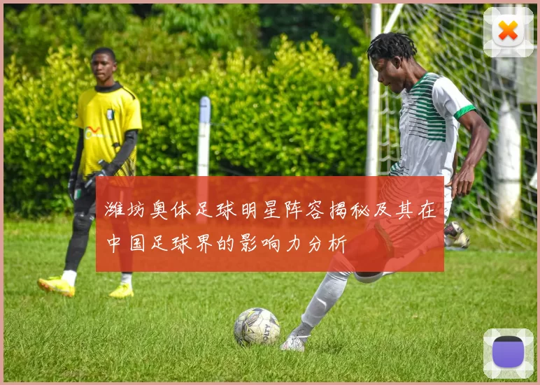 潍坊奥体足球明星阵容揭秘及其在中国足球界的影响力分析