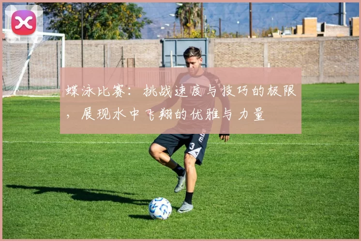 蝶泳比赛：挑战速度与技巧的极限，展现水中飞翔的优雅与力量