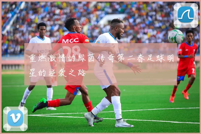 重燃激情的绿茵传奇第二春足球明星的逆袭之路