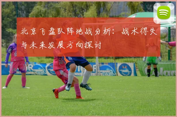 北京飞盘队阵地战分析：战术得失与未来发展方向探讨
