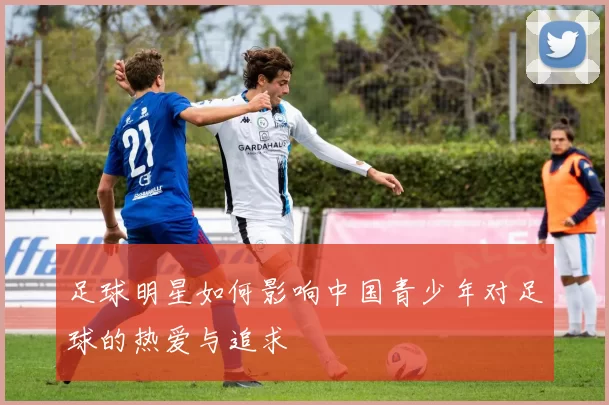 足球明星如何影响中国青少年对足球的热爱与追求