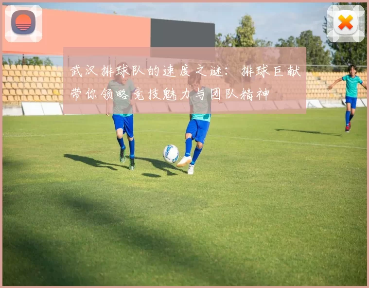 武汉排球队的速度之谜：排球巨献带你领略竞技魅力与团队精神
