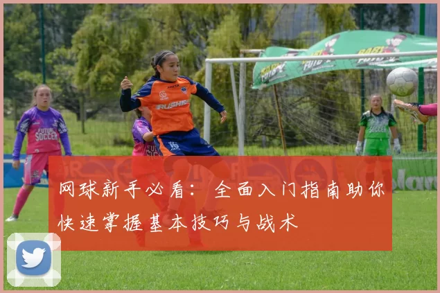 网球新手必看：全面入门指南助你快速掌握基本技巧与战术