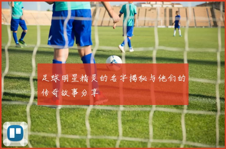 足球明星精灵的名字揭秘与他们的传奇故事分享