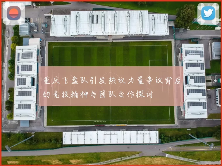 重庆飞盘队引发热议力量争议背后的竞技精神与团队合作探讨