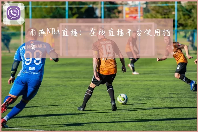 雨燕NBA直播：在线直播平台使用指南