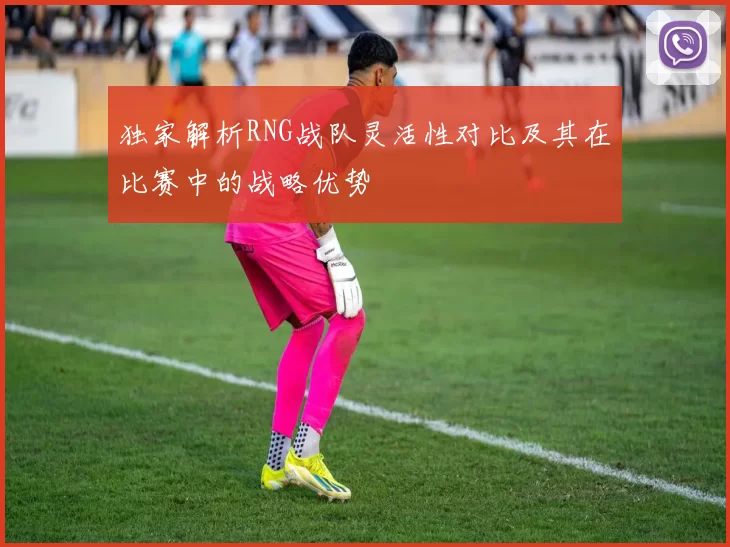 独家解析RNG战队灵活性对比及其在比赛中的战略优势
