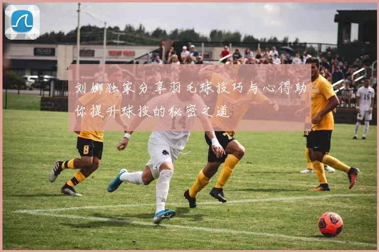 刘娜独家分享羽毛球技巧与心得助你提升球技的秘密之道