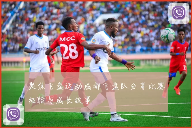 聚焦飞盘运动成都飞盘队分享比赛经验与成长故事