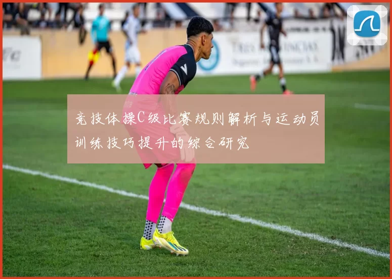 竞技体操C级比赛规则解析与运动员训练技巧提升的综合研究