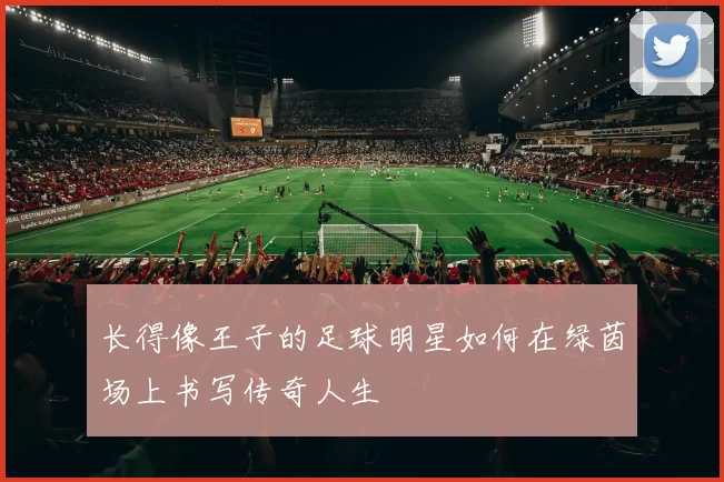 长得像王子的足球明星如何在绿茵场上书写传奇人生