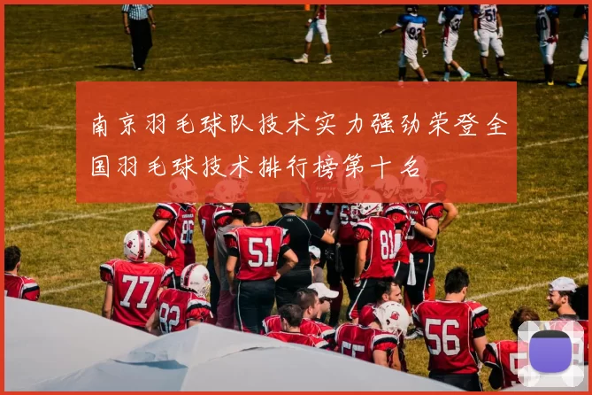 南京羽毛球队技术实力强劲荣登全国羽毛球技术排行榜第十名