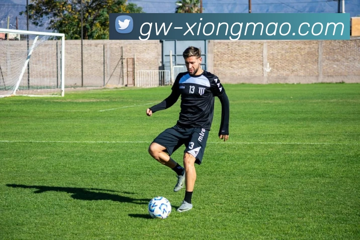 赛后分析：IG与BLG团队协作的成功与不足之处探讨